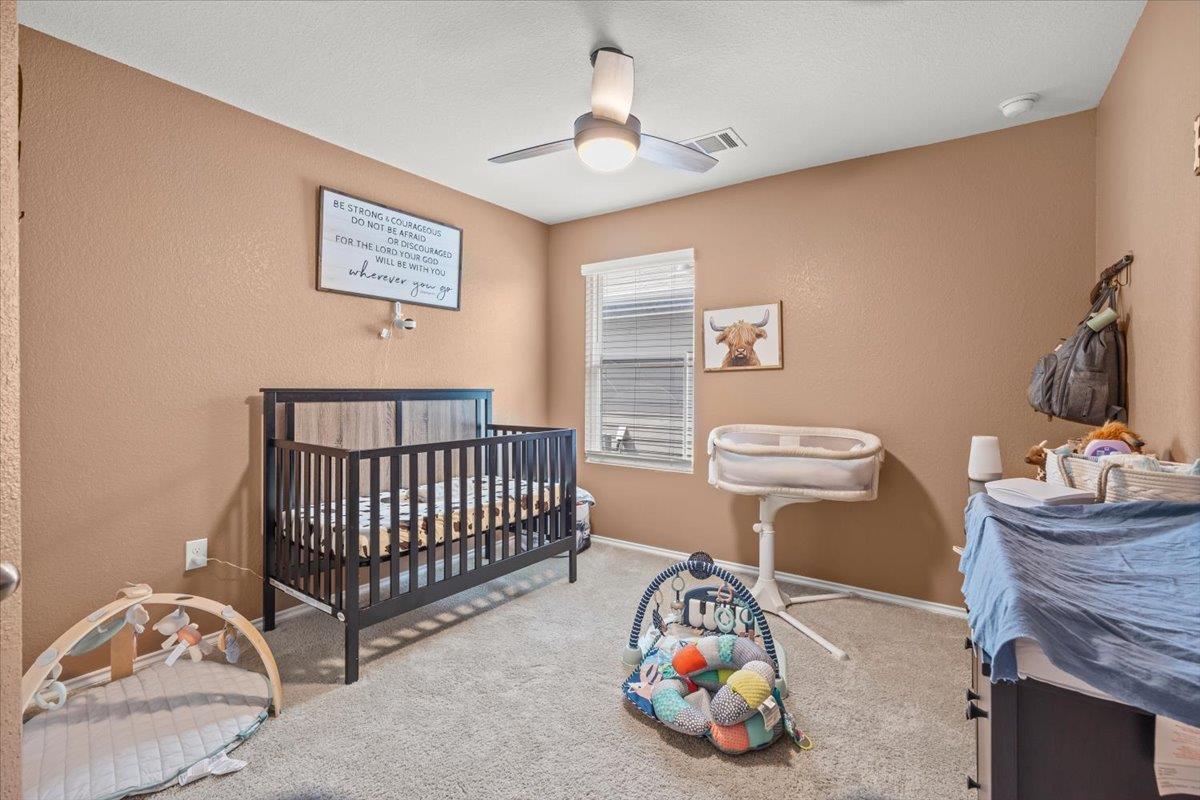 342 Kowald Ln N, New Braunfels, TX 78130