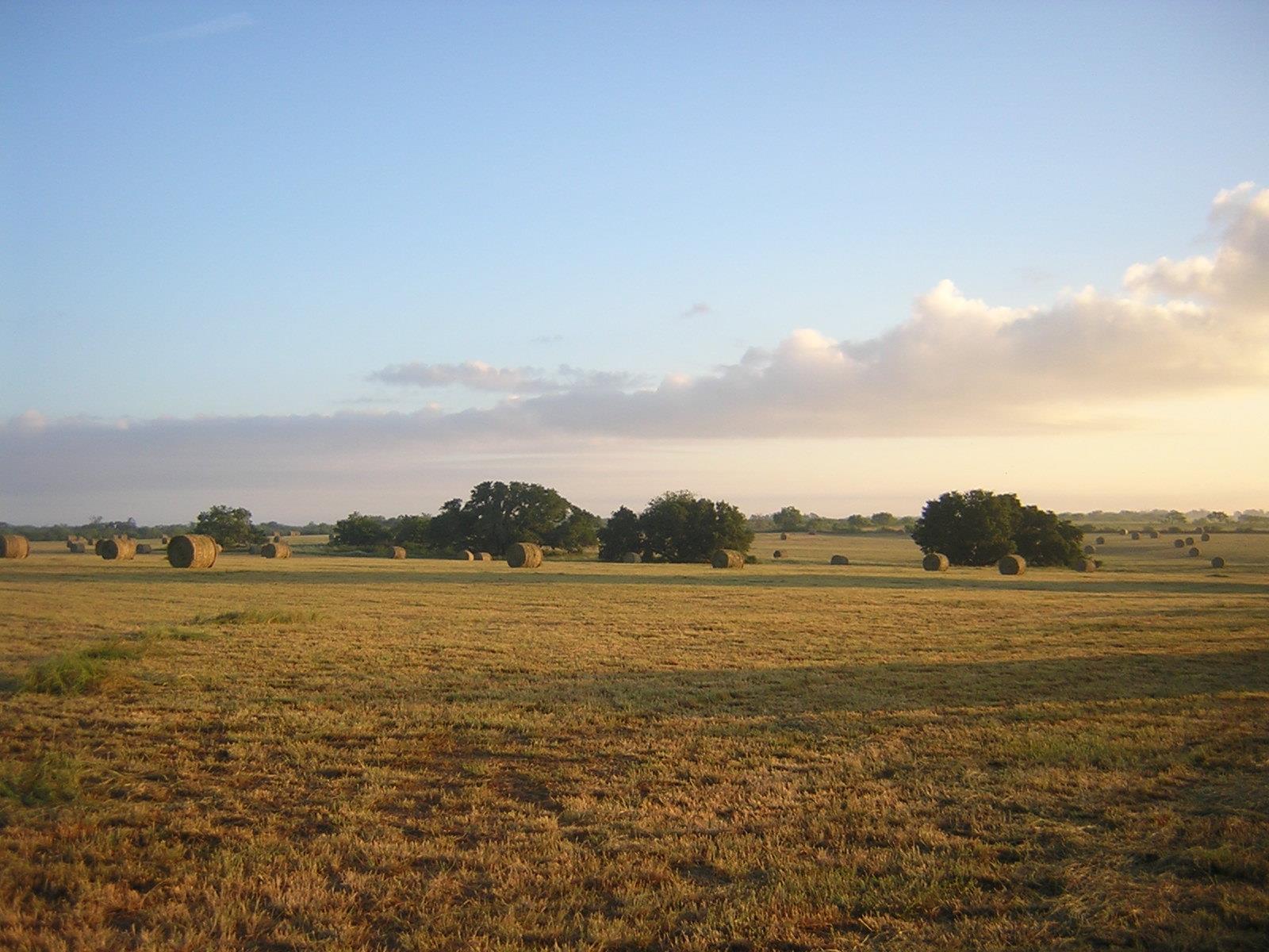 15657 Fm 86, Dale, TX 78616