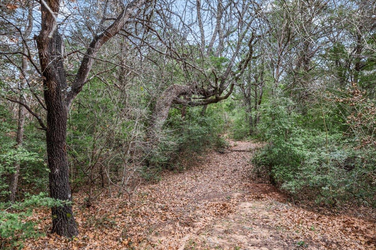 153 Old Wingo Pl, McDade, TX 78650