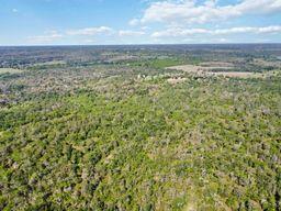 TBD High Grove Rd, Cedar Creek, TX 78612