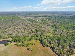 TBD High Grove Rd, Cedar Creek, TX 78612