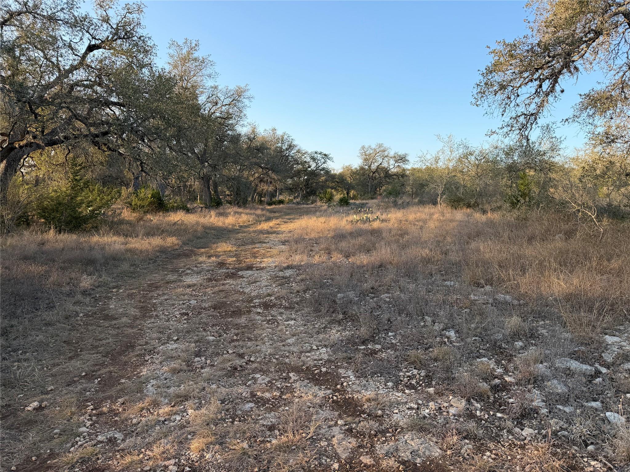 0 Lohman Ford Road Lohman Ford Rd, Lago Vista, TX 78645