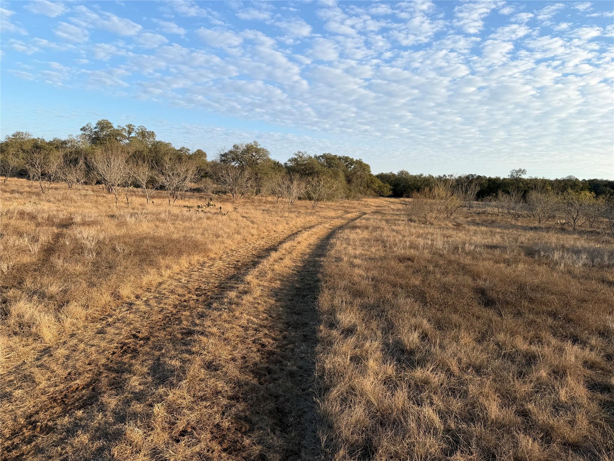 0 Lohman Ford Road Lohman Ford Rd, Lago Vista, TX 78645