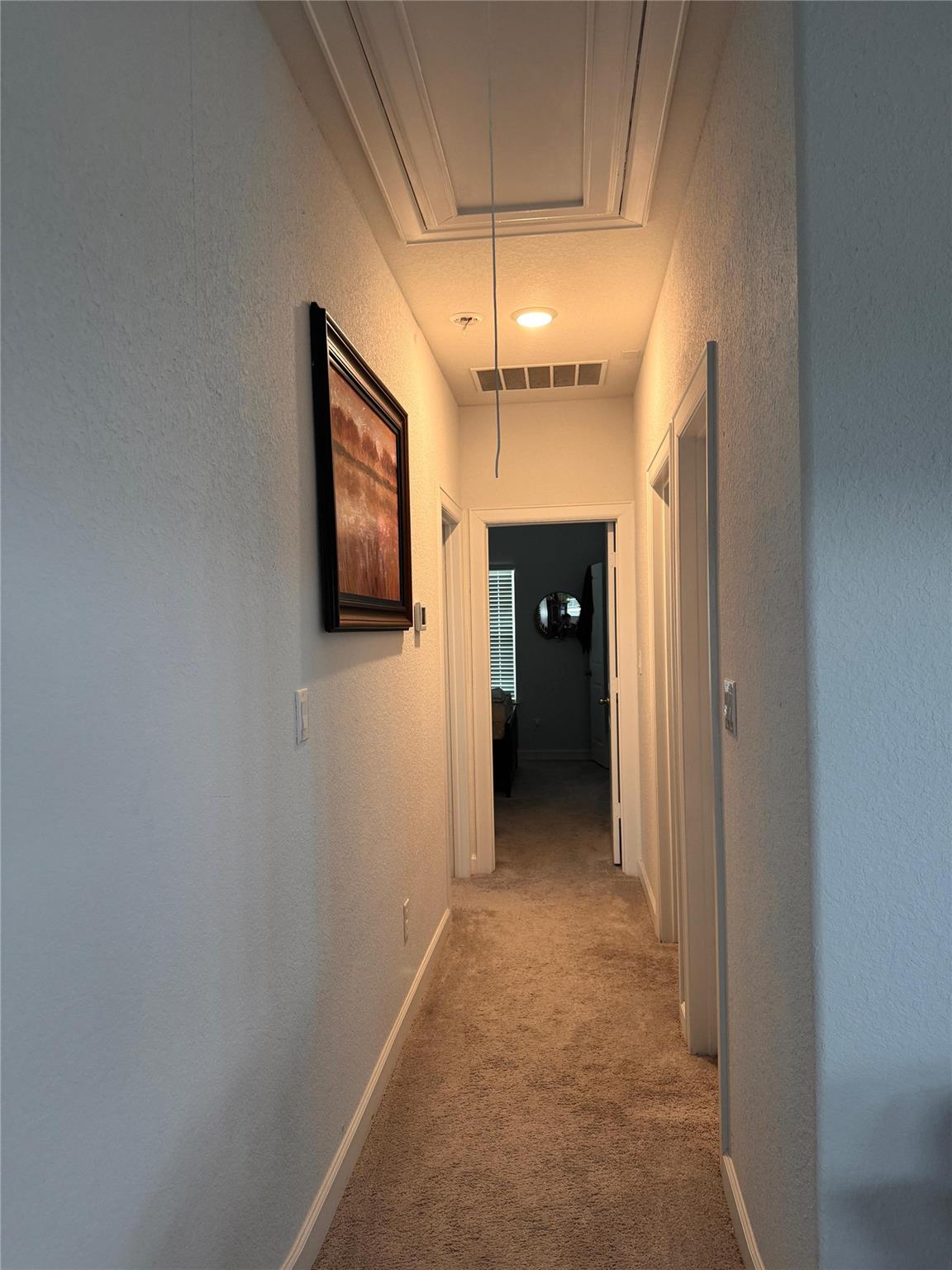 650 Wild Pecan Loop, Buda, TX 78610