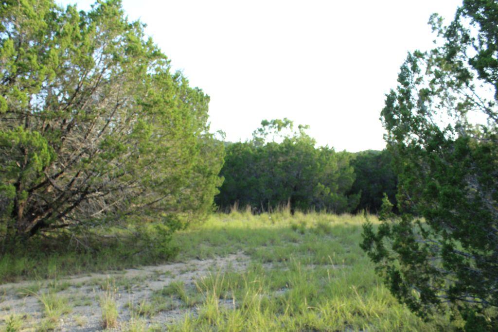 218 Spring Hollow Drive Dr, Bertram, TX 78605