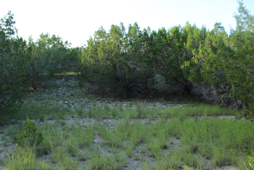 218 Spring Hollow Drive Dr, Bertram, TX 78605