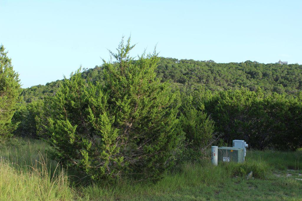 218 Spring Hollow Drive Dr, Bertram, TX 78605