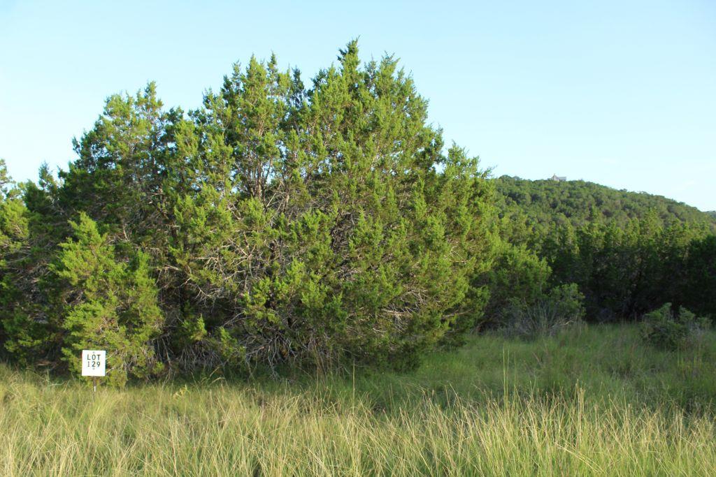 218 Spring Hollow Drive Dr, Bertram, TX 78605