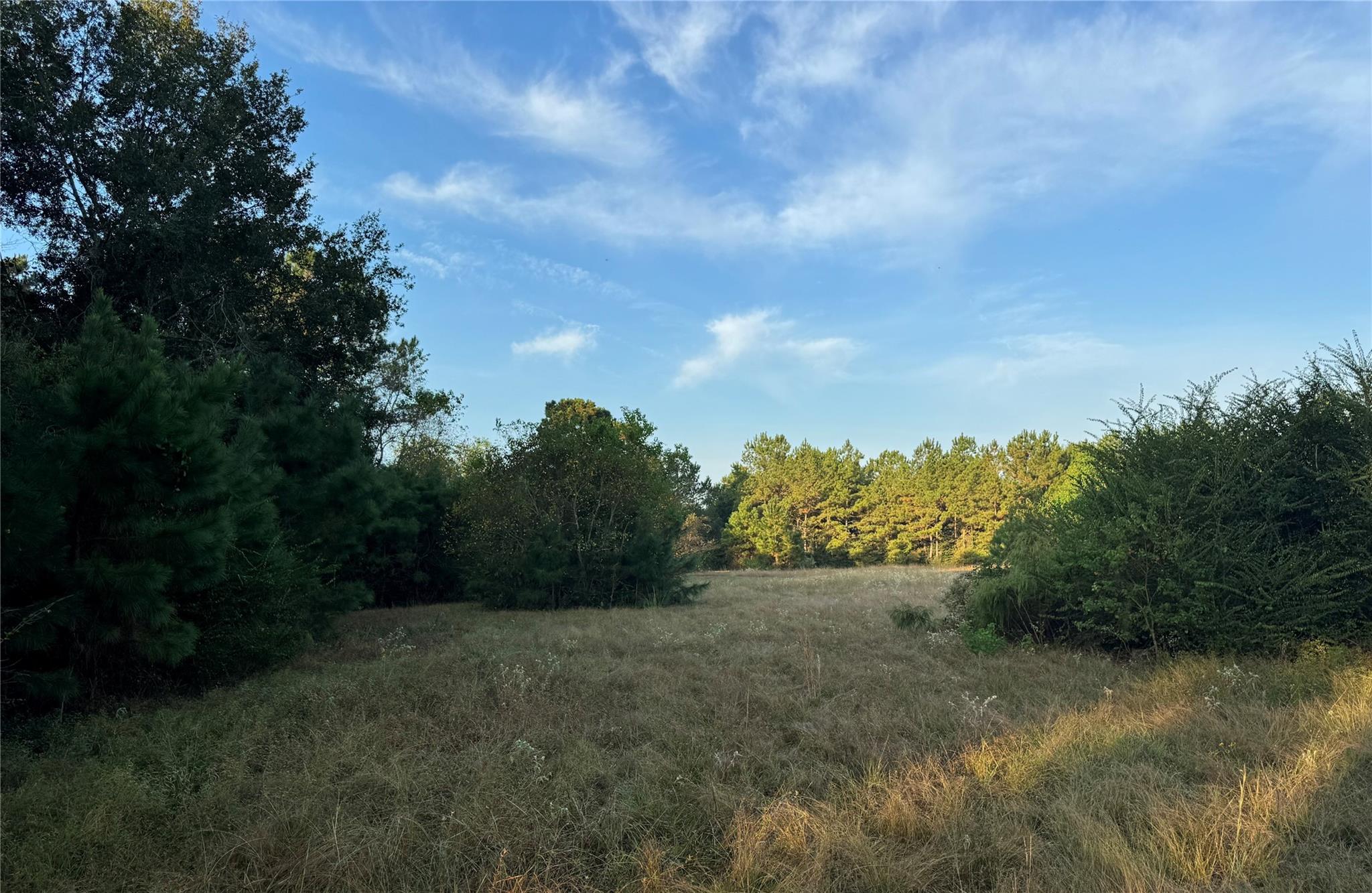 27744 Glass Rd, Hockley, TX 77447