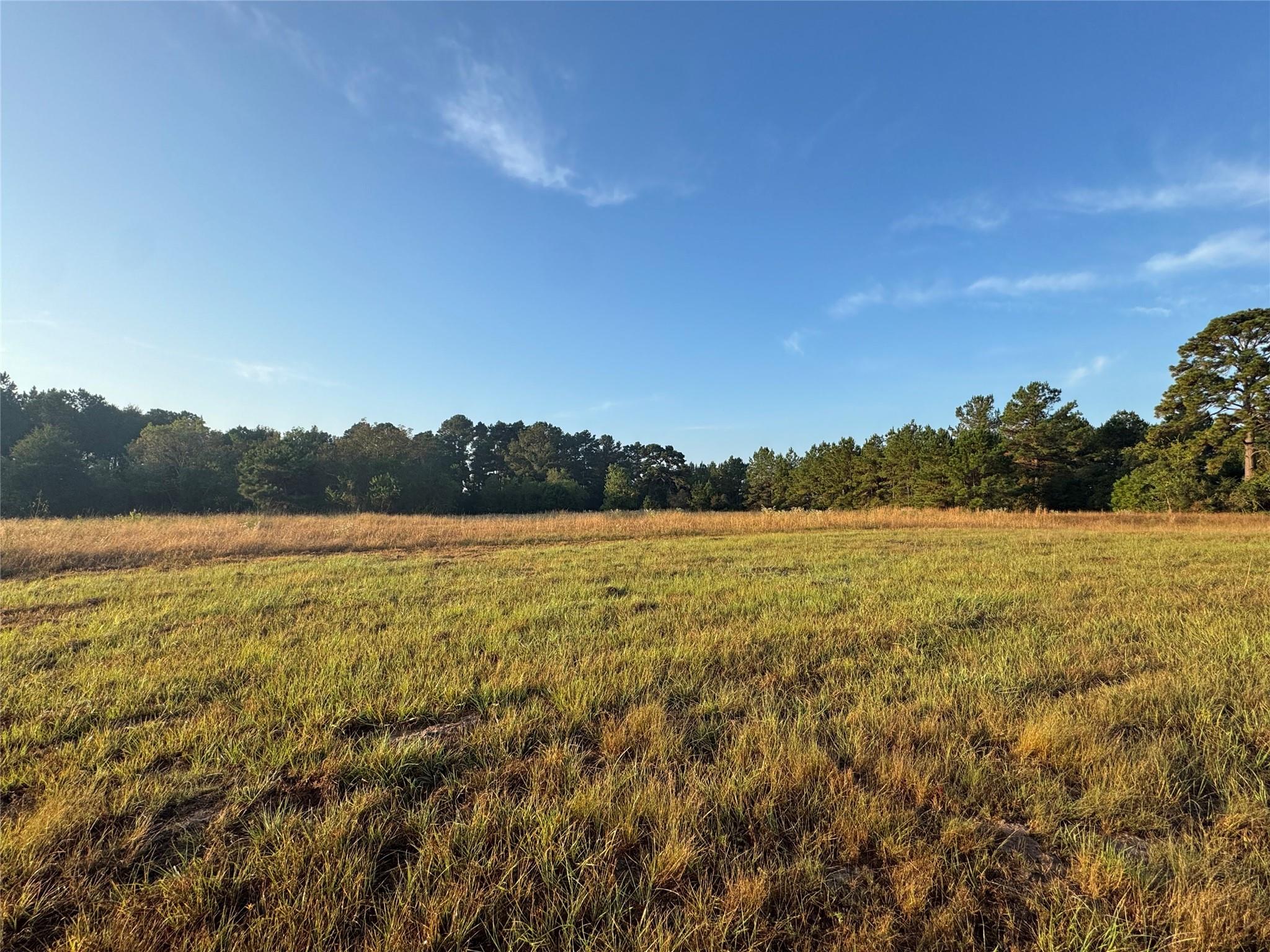 24778 Glass Rd, Hockley, TX 77447