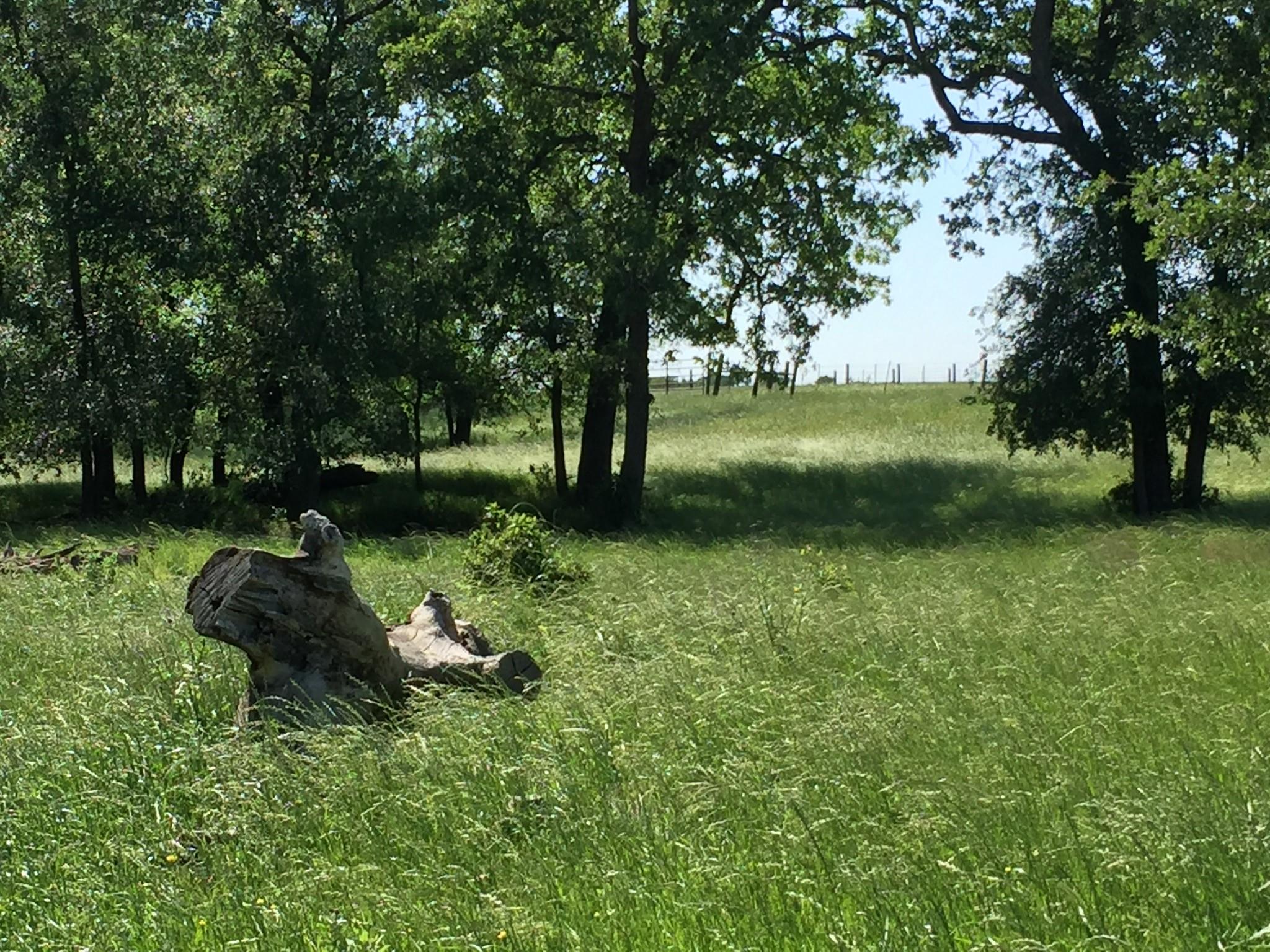 3000 Pettytown Rd, Dale, TX 78616