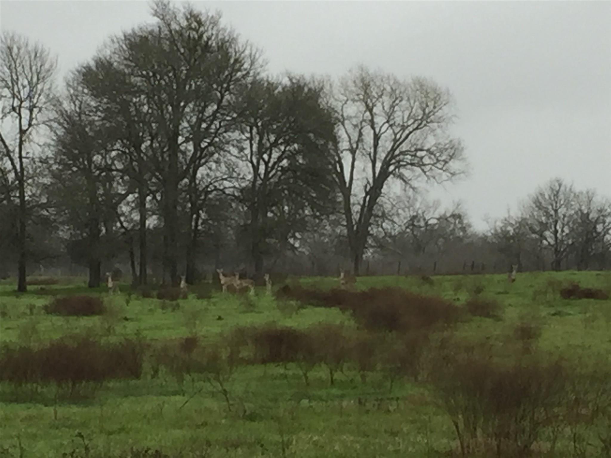 3000 Pettytown Rd, Dale, TX 78616