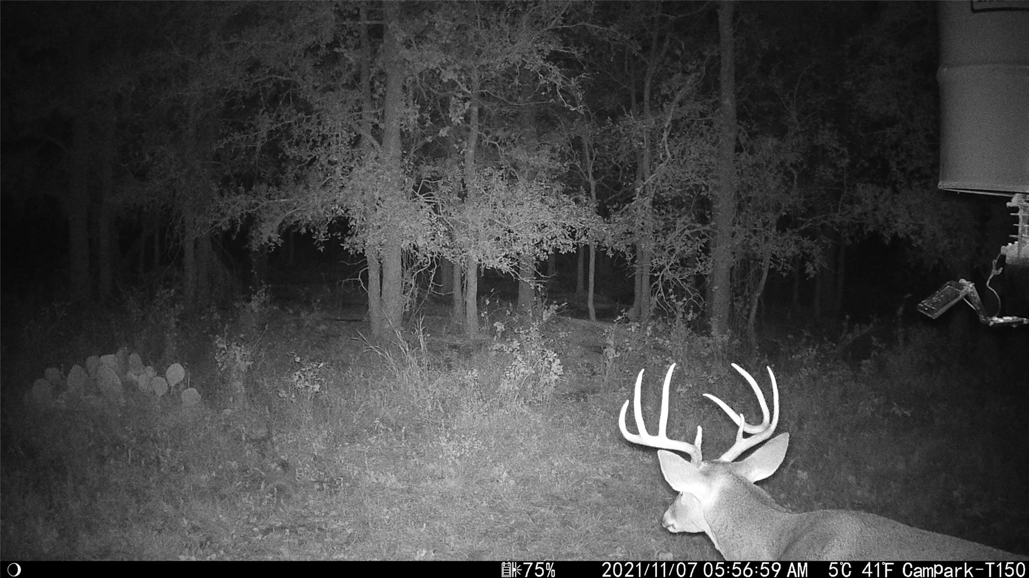 3000 Pettytown Rd, Dale, TX 78616