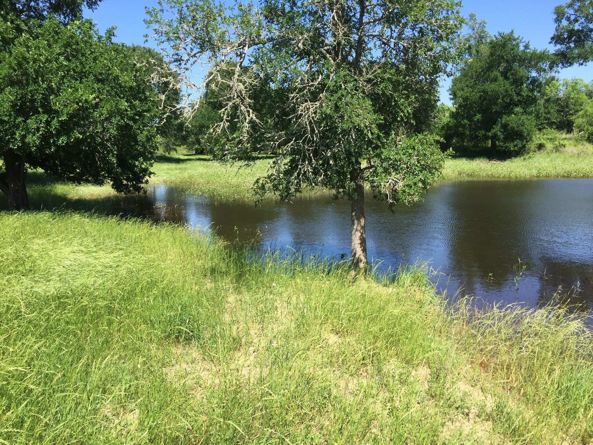 3000 Pettytown Rd, Dale, TX 78616