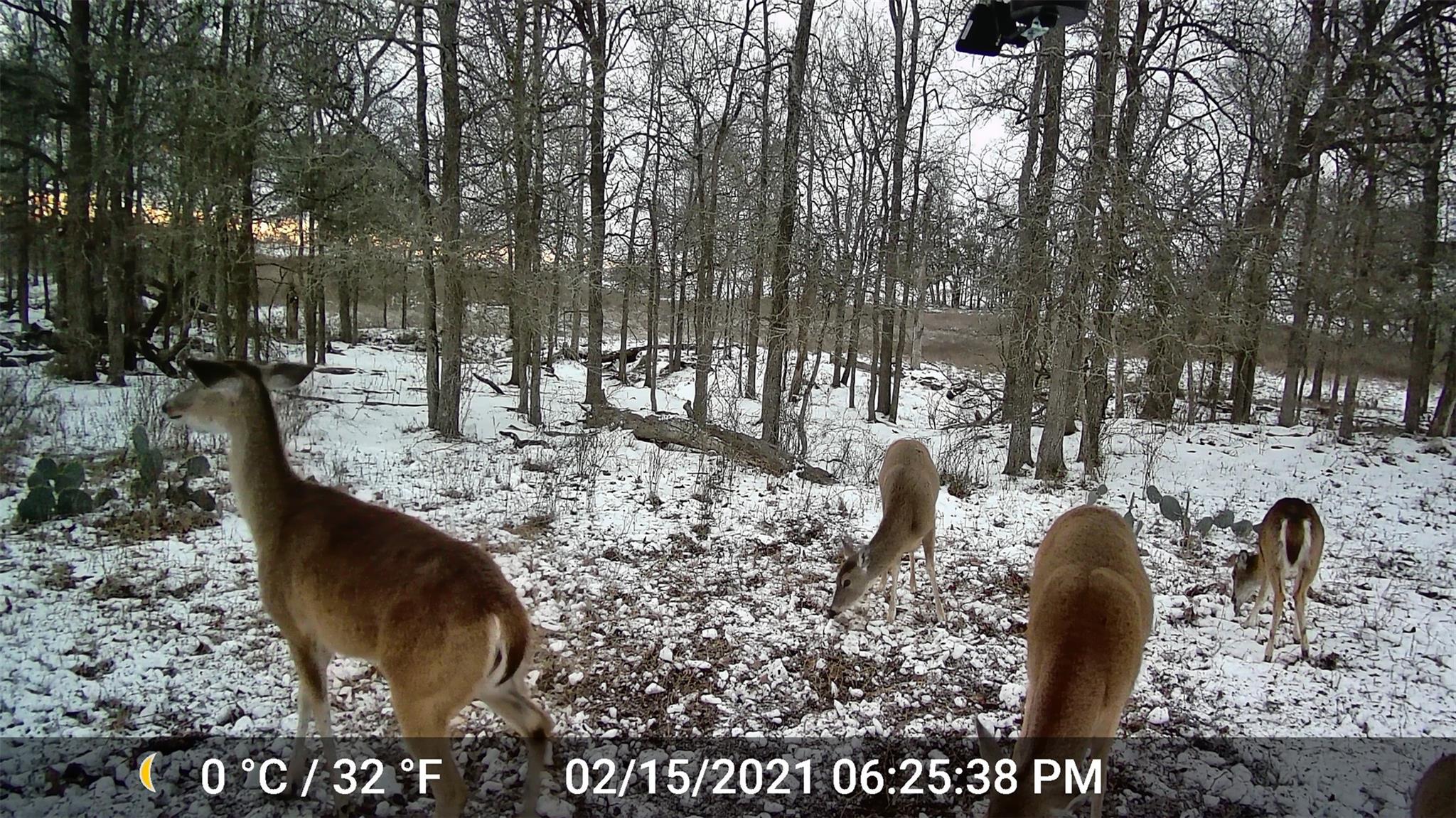 3000 Pettytown Rd, Dale, TX 78616