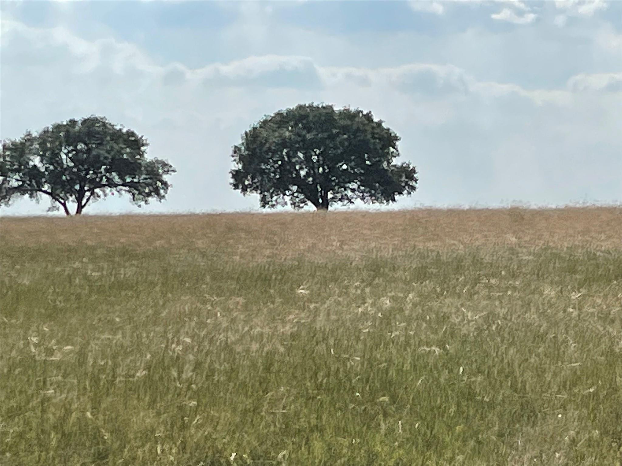 3000 Pettytown Rd, Dale, TX 78616