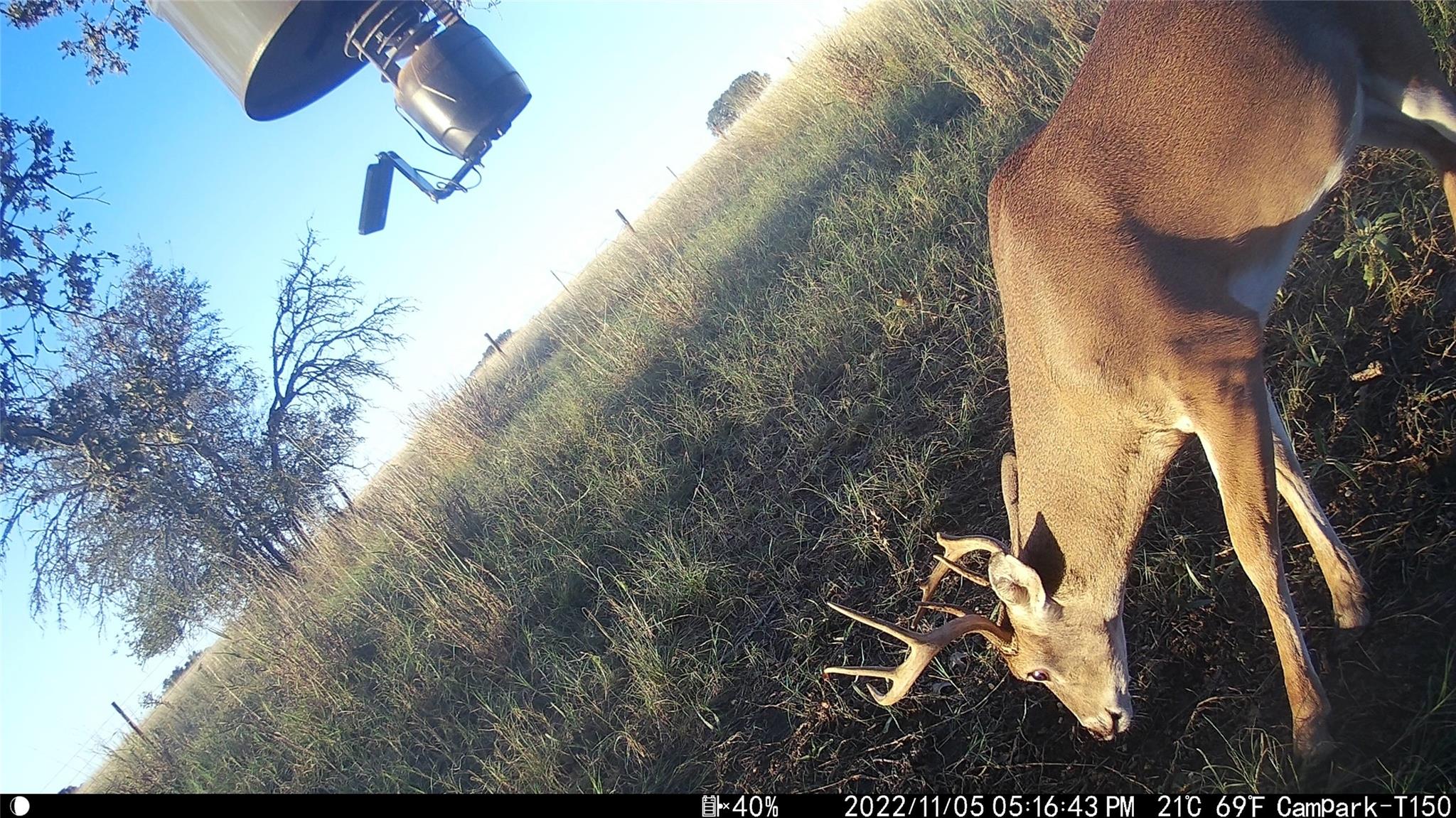 3000 Pettytown Rd, Dale, TX 78616