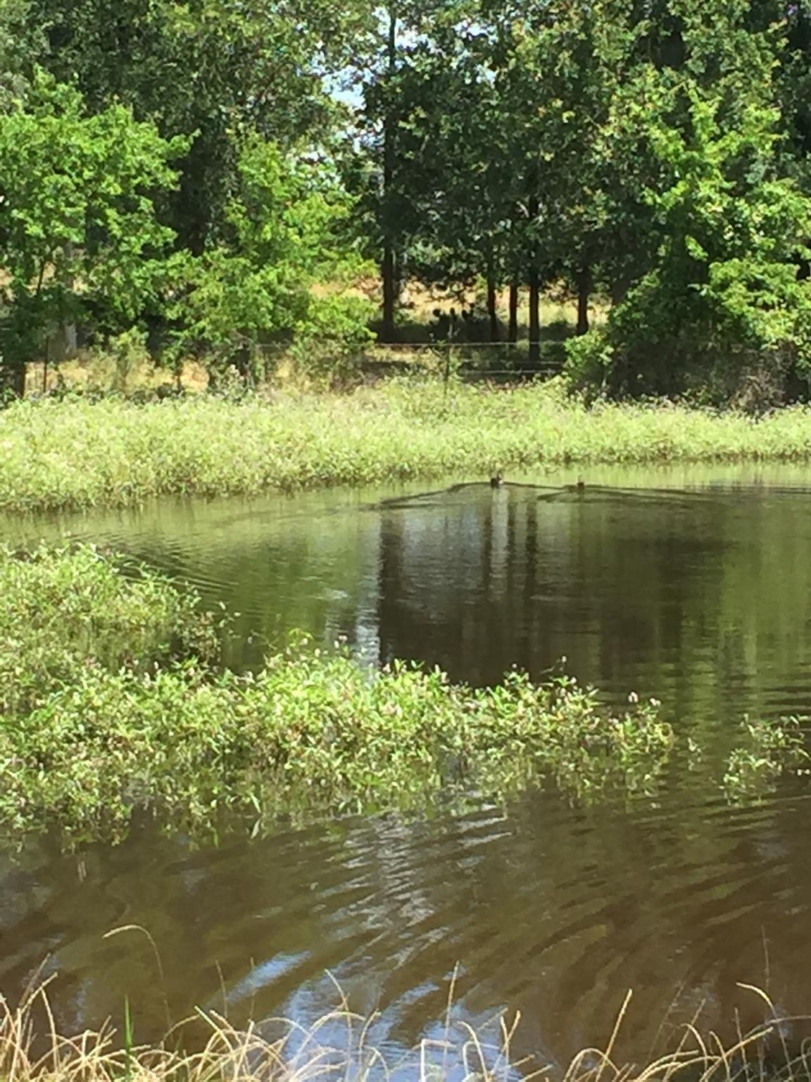 3000 Pettytown Rd, Dale, TX 78616