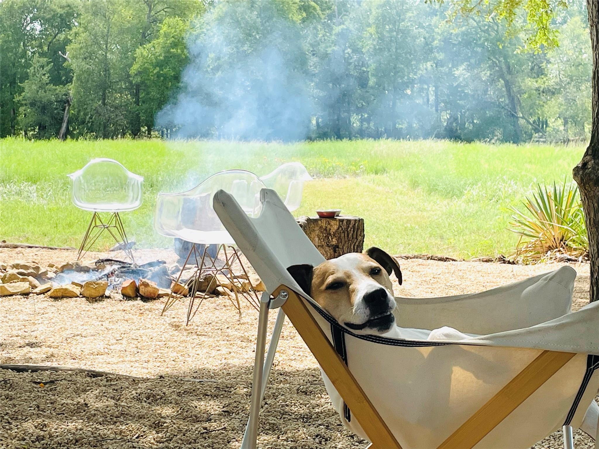 3000 Pettytown Rd, Dale, TX 78616