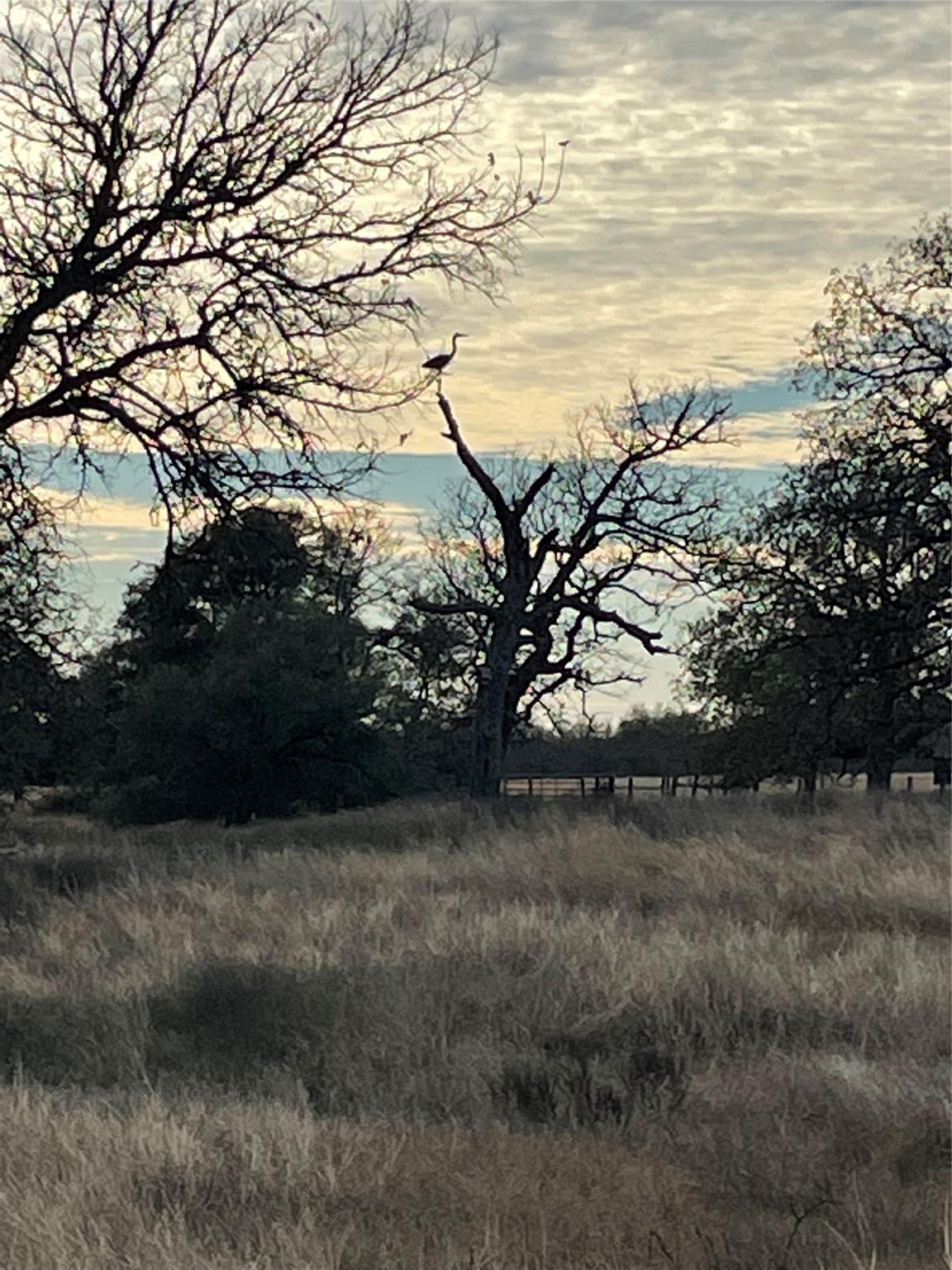 3000 Pettytown Rd, Dale, TX 78616