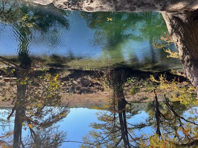 1212 Ridge Oak Dr, Wimberley, TX 78676