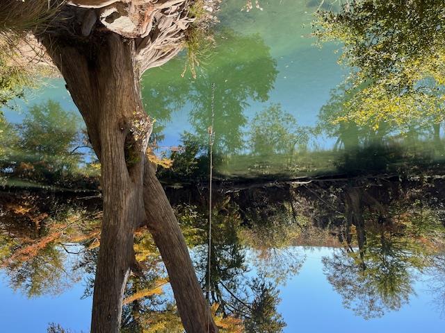 1212 Ridge Oak Dr, Wimberley, TX 78676