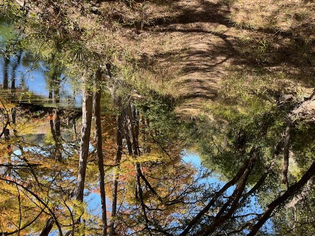 1212 Ridge Oak Dr, Wimberley, TX 78676