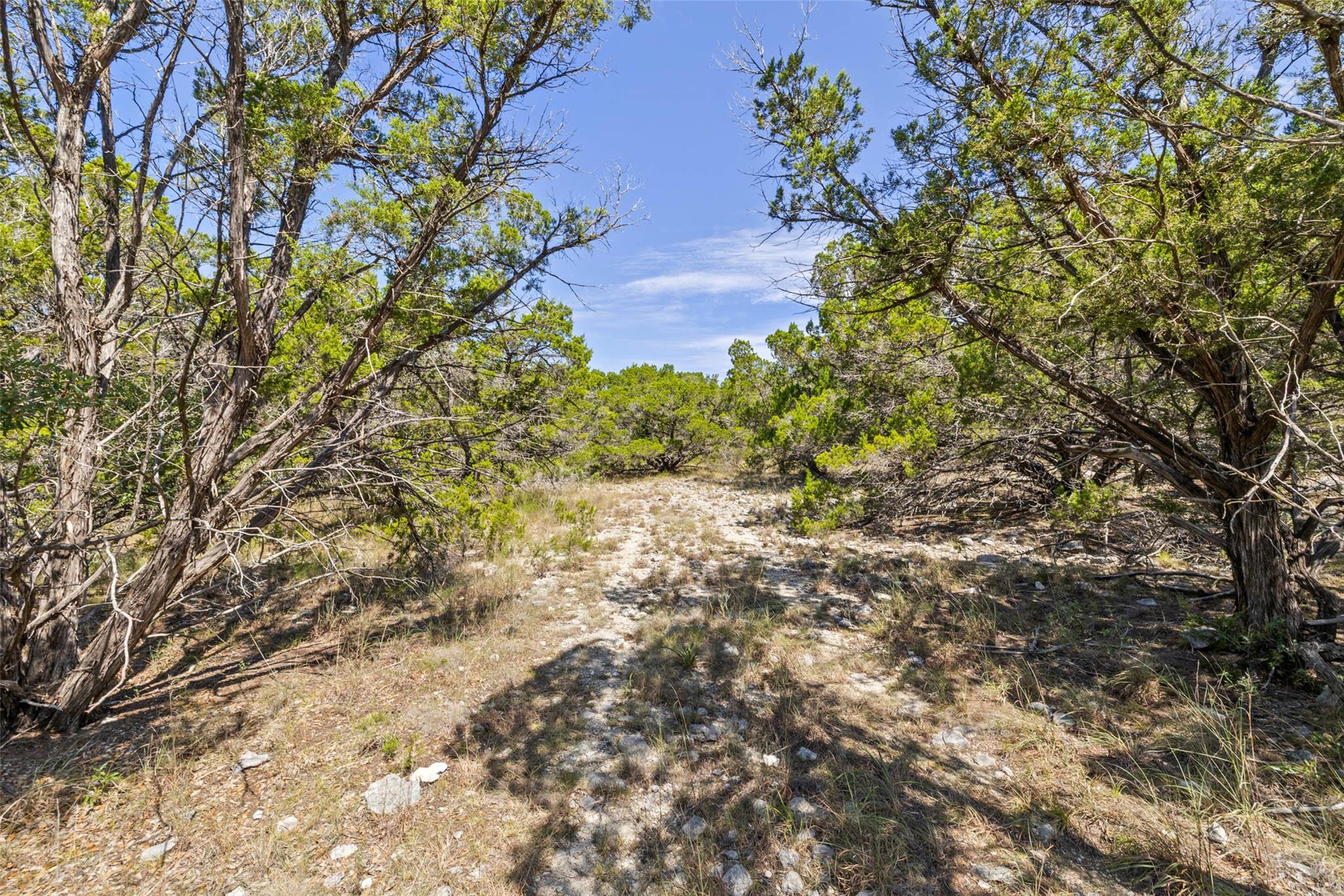 TBD Lipan Run Tract 2, Fischer, TX 78623