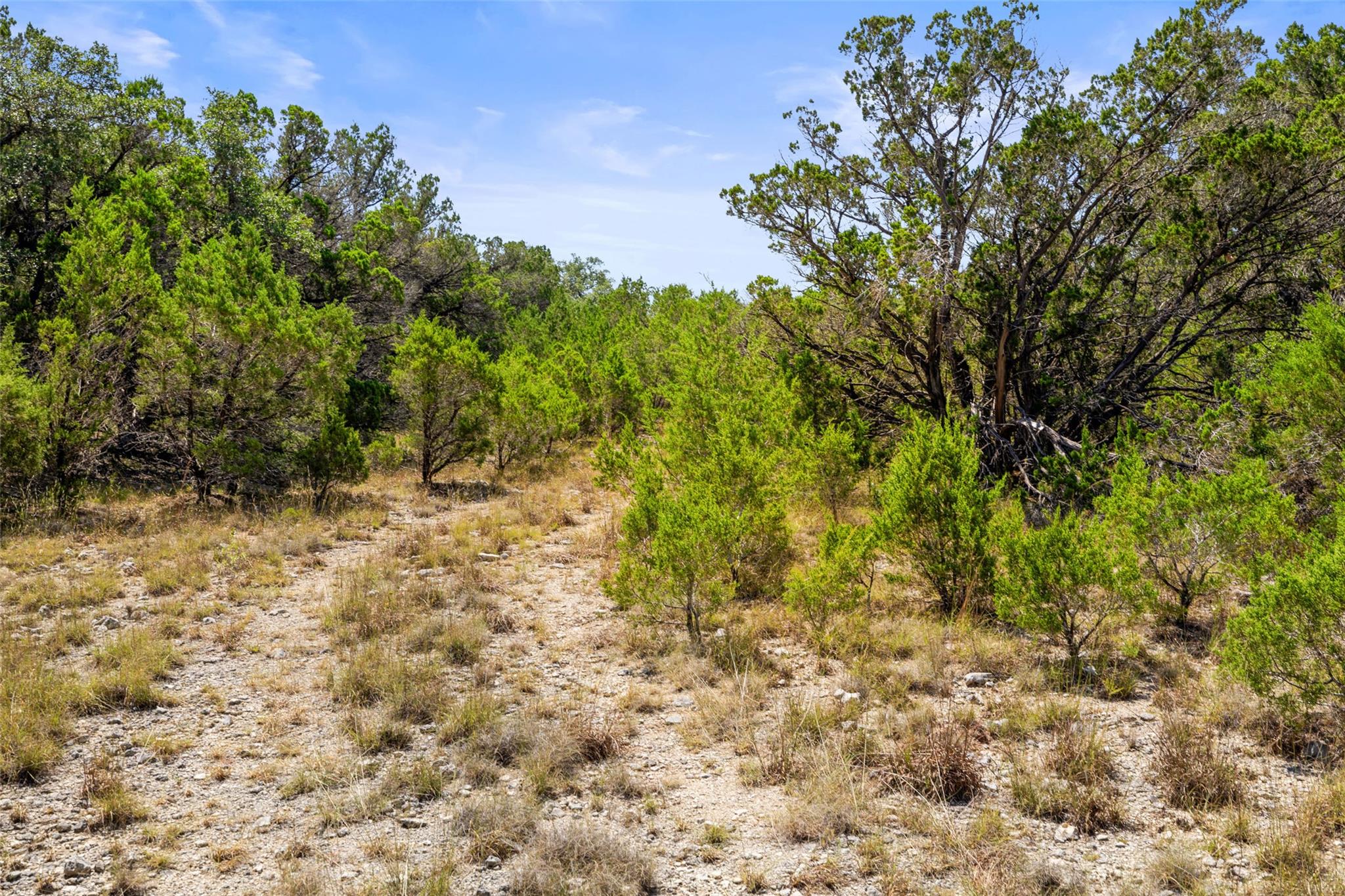 TBD Lipan Run Tract 2, Fischer, TX 78623