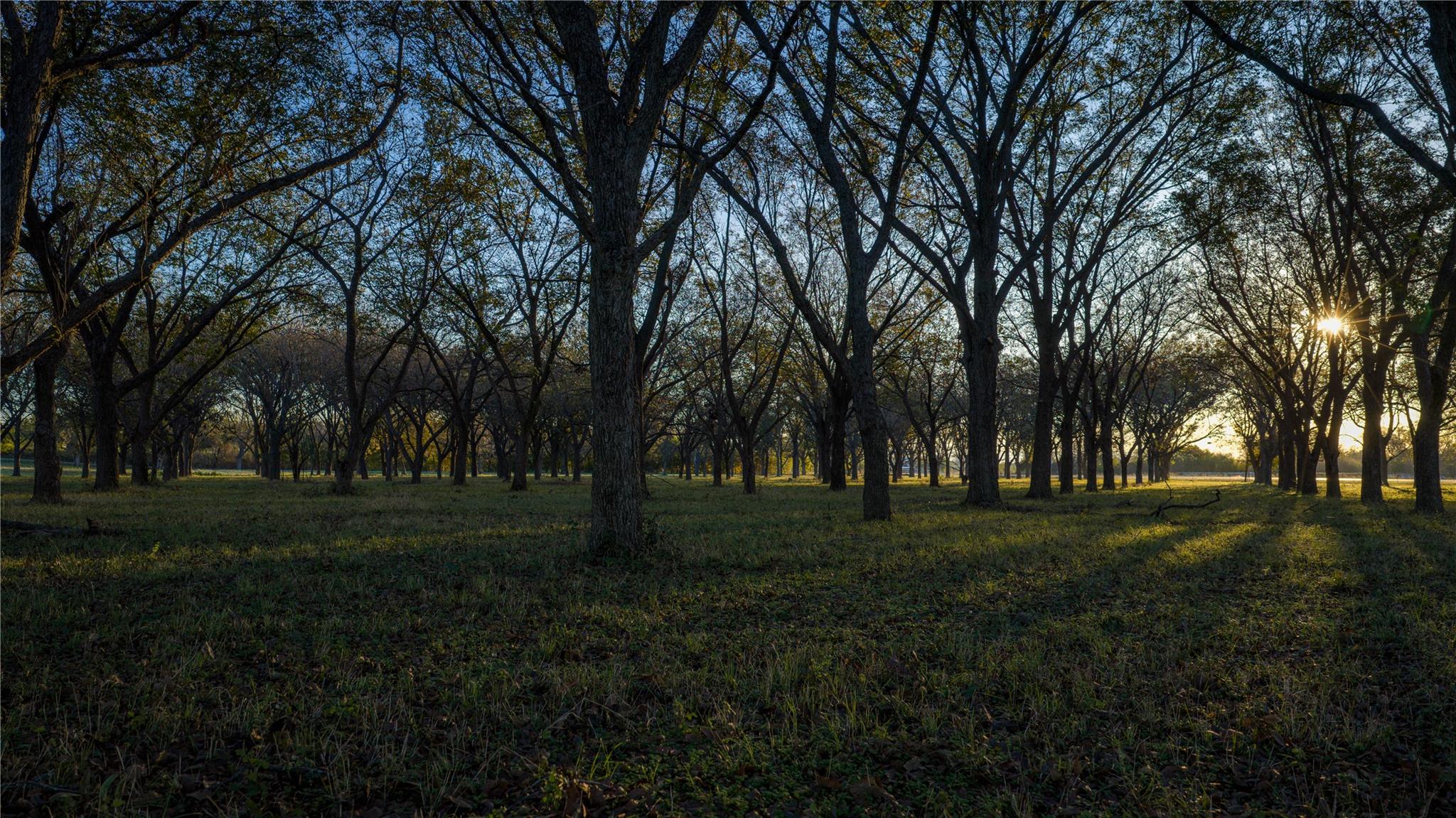 8323 E State Highway 29, Georgetown, TX 78626