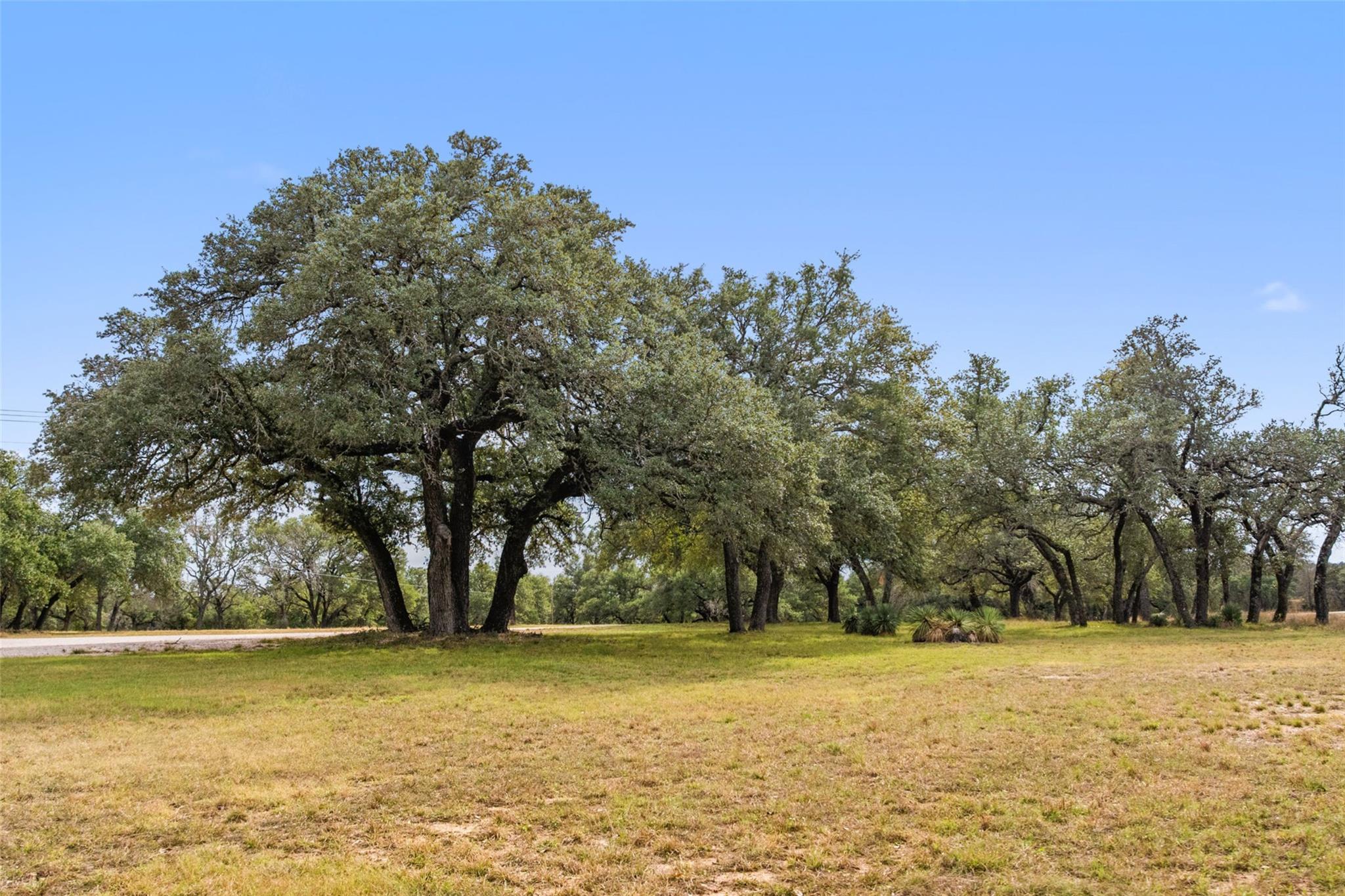 214 Edmonds Ave, Johnson City, TX 78636