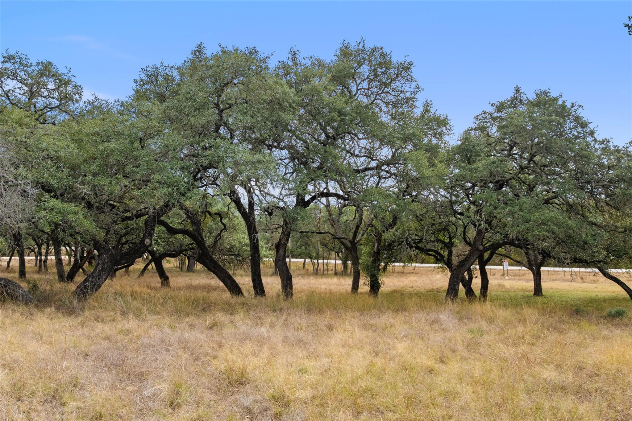 214 Edmonds Ave, Johnson City, TX 78636