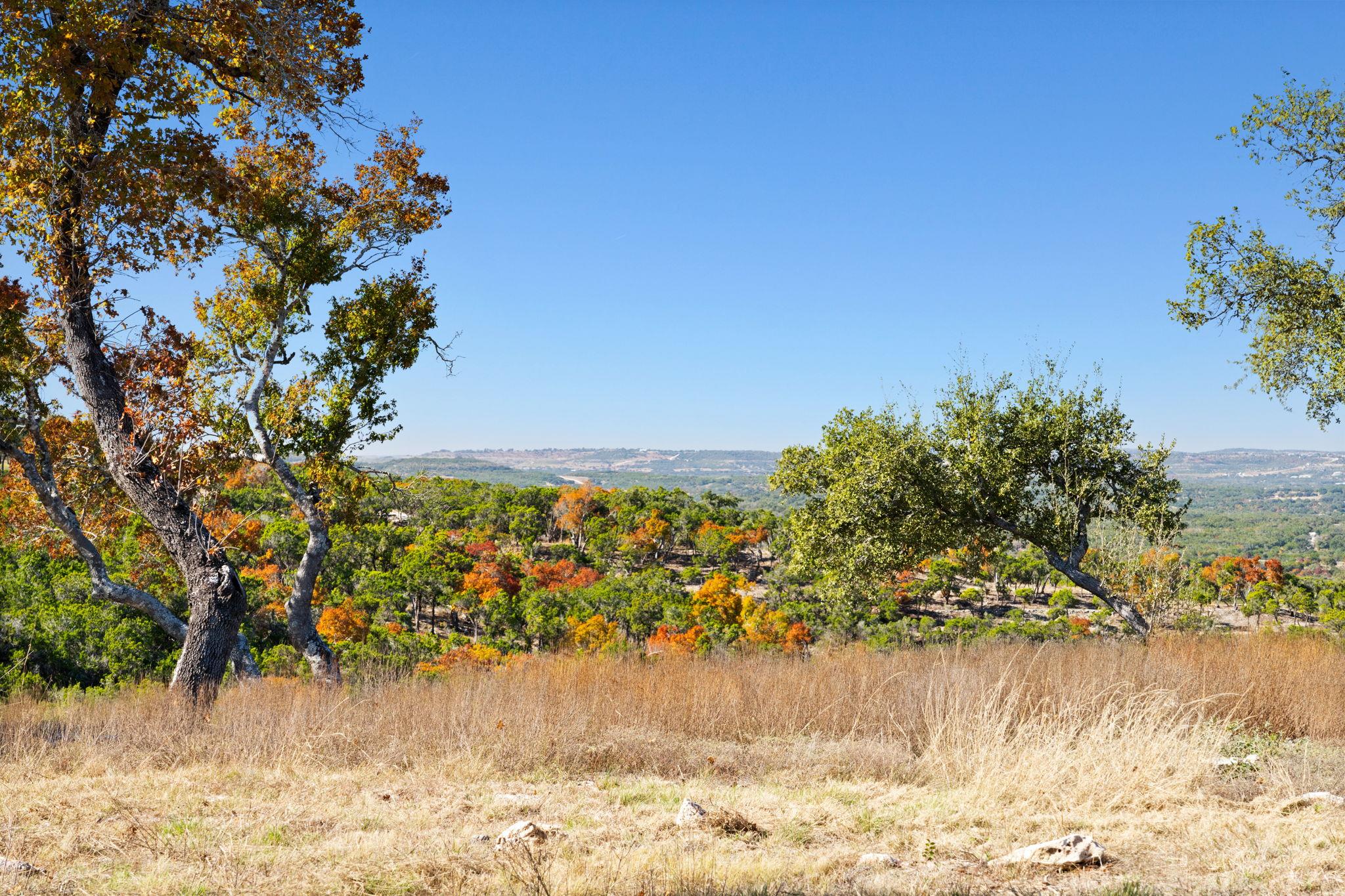 3300 FM 165 - Lot 13A, Dripping Springs, TX 78620
