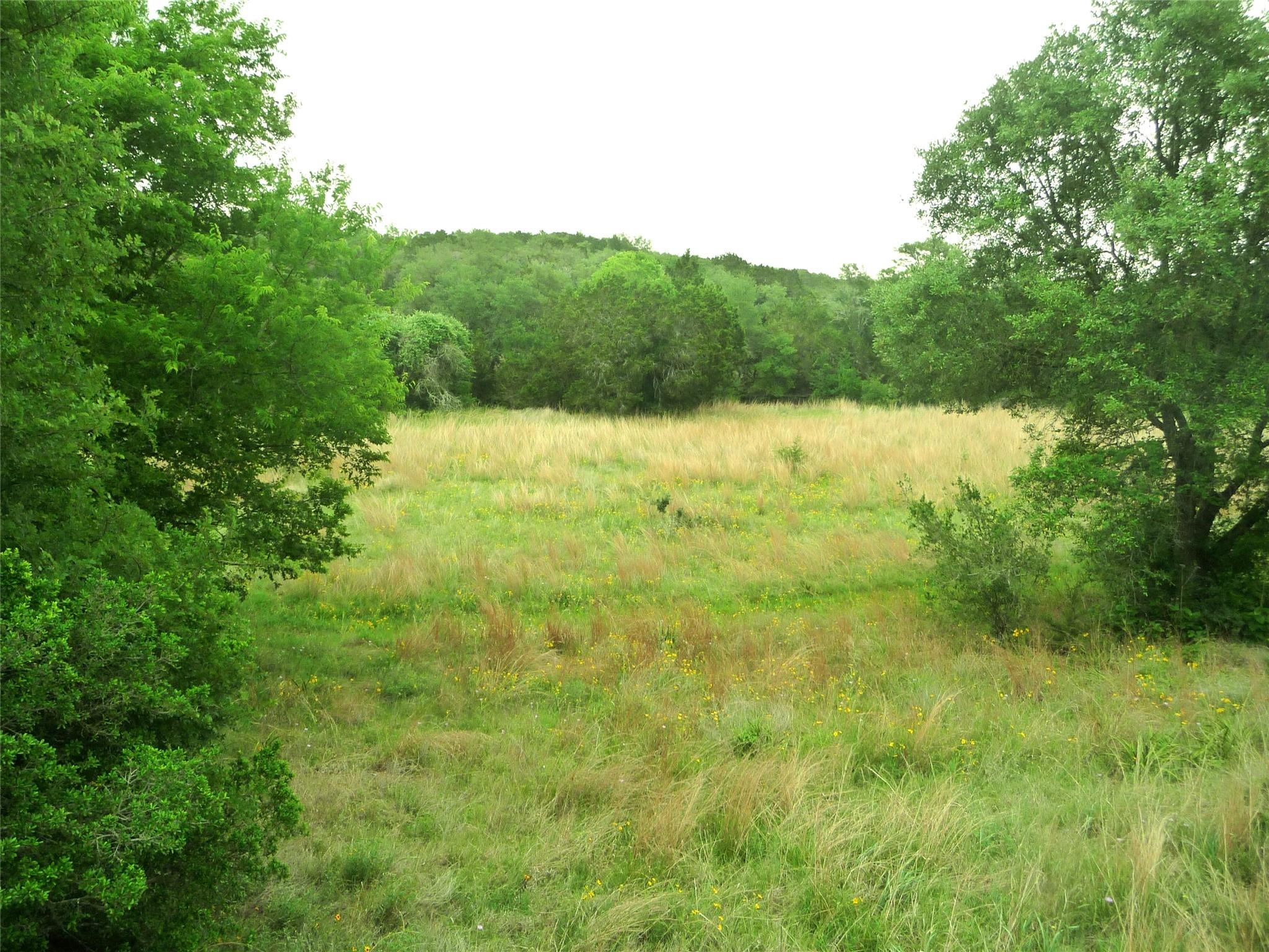 2900 Mount Sharp Rd, Wimberley, TX 78676