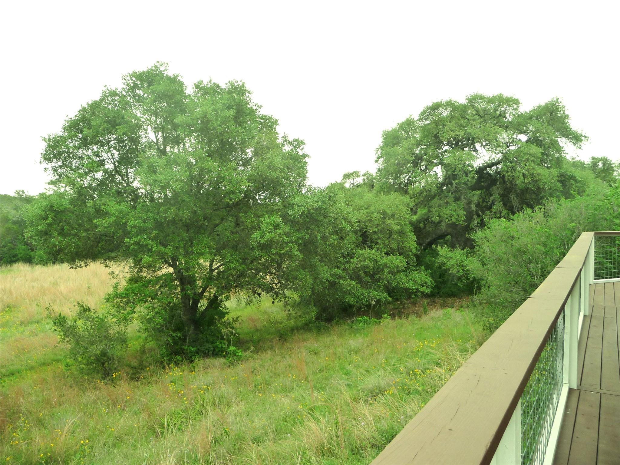 2900 Mount Sharp Rd, Wimberley, TX 78676