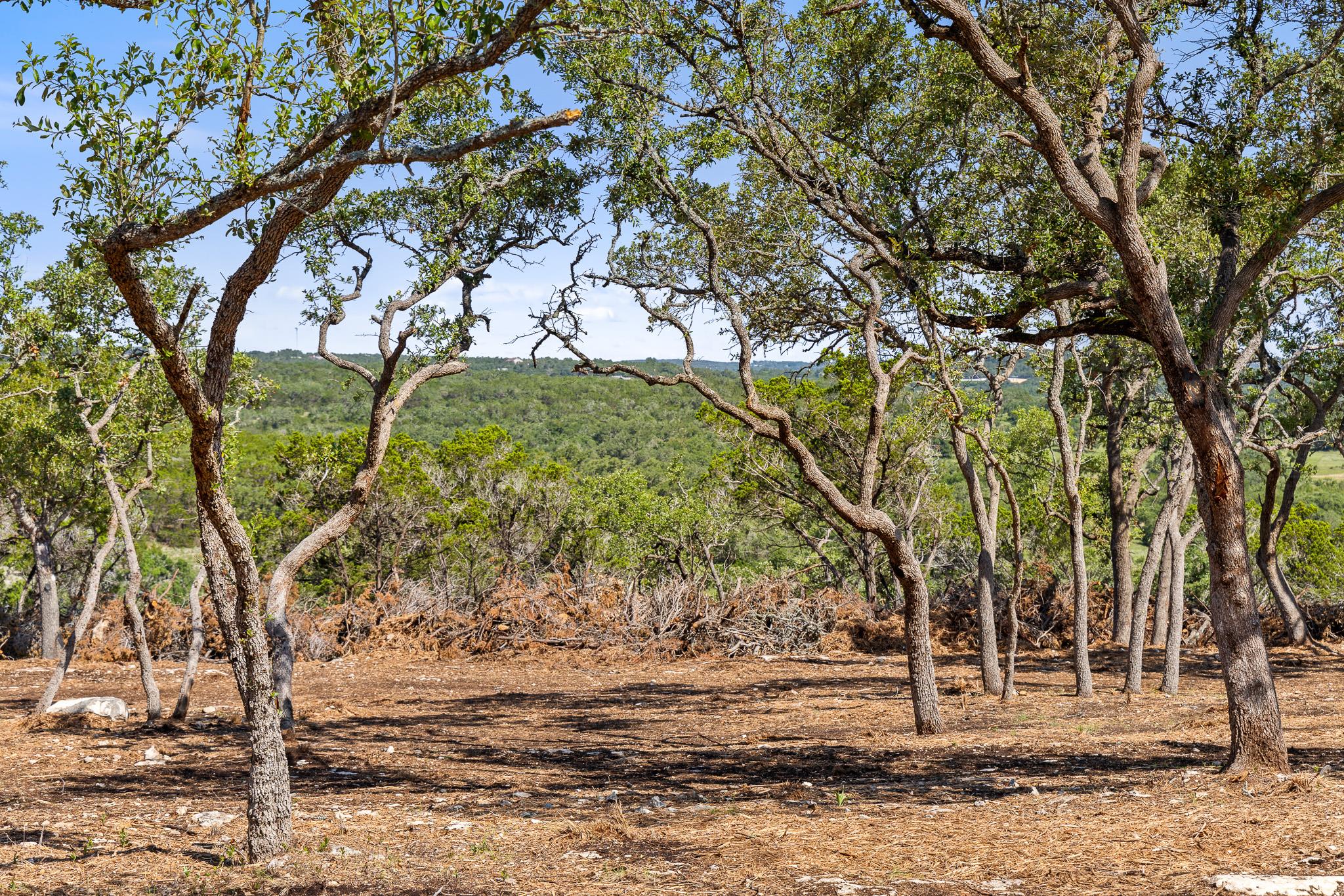 9475 FM 32, Lot 9, Fischer, TX 78623