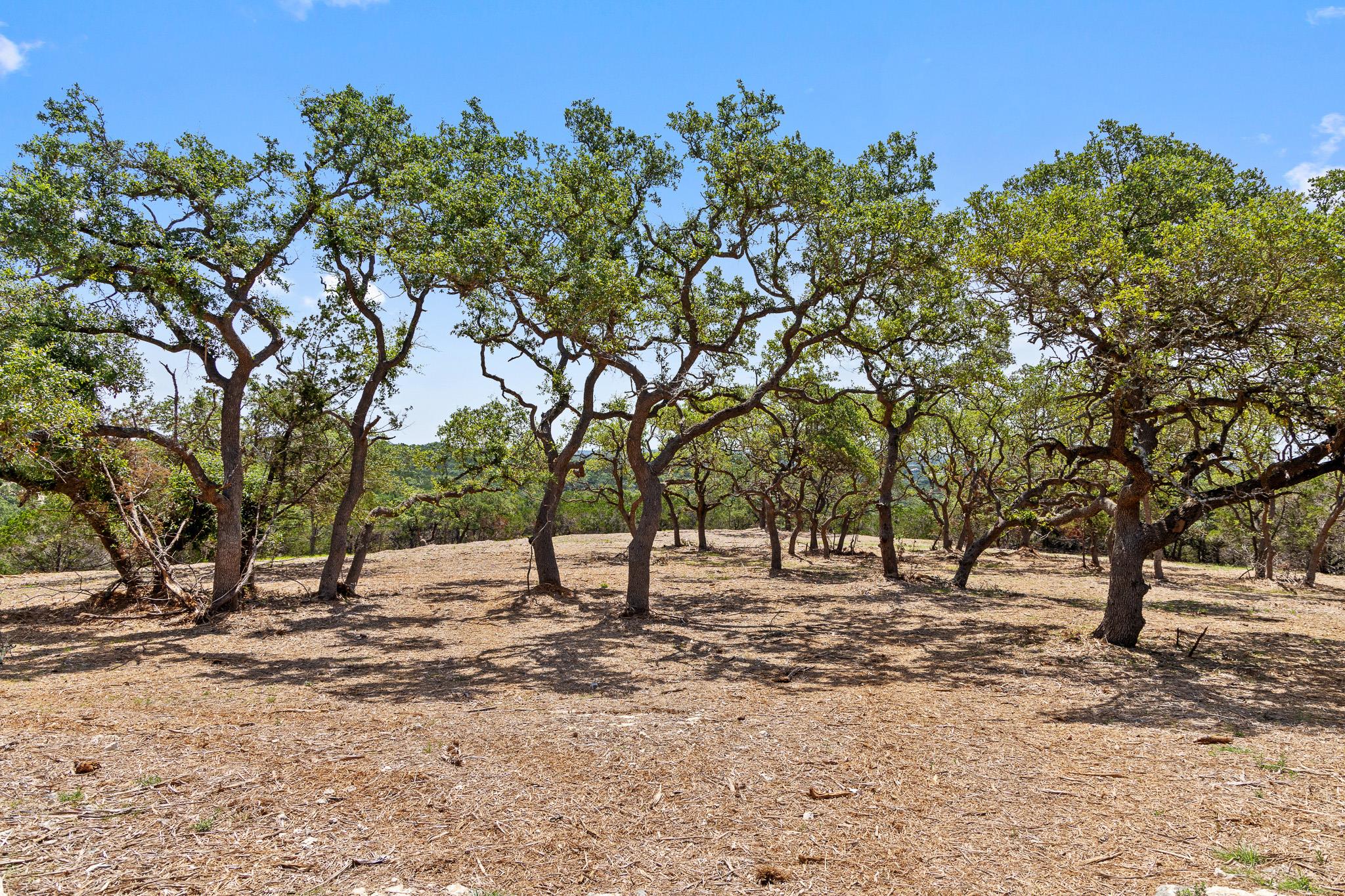 9475 FM 32, Lot 9, Fischer, TX 78623