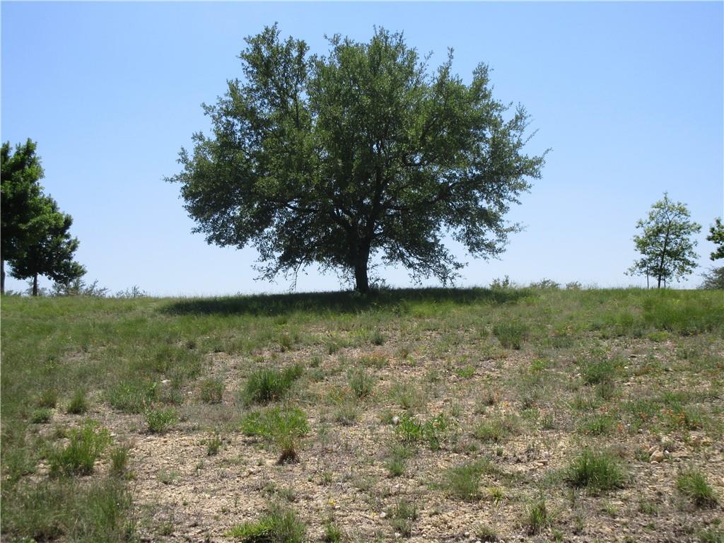 113 Quail Pt, Spicewood, TX 78669