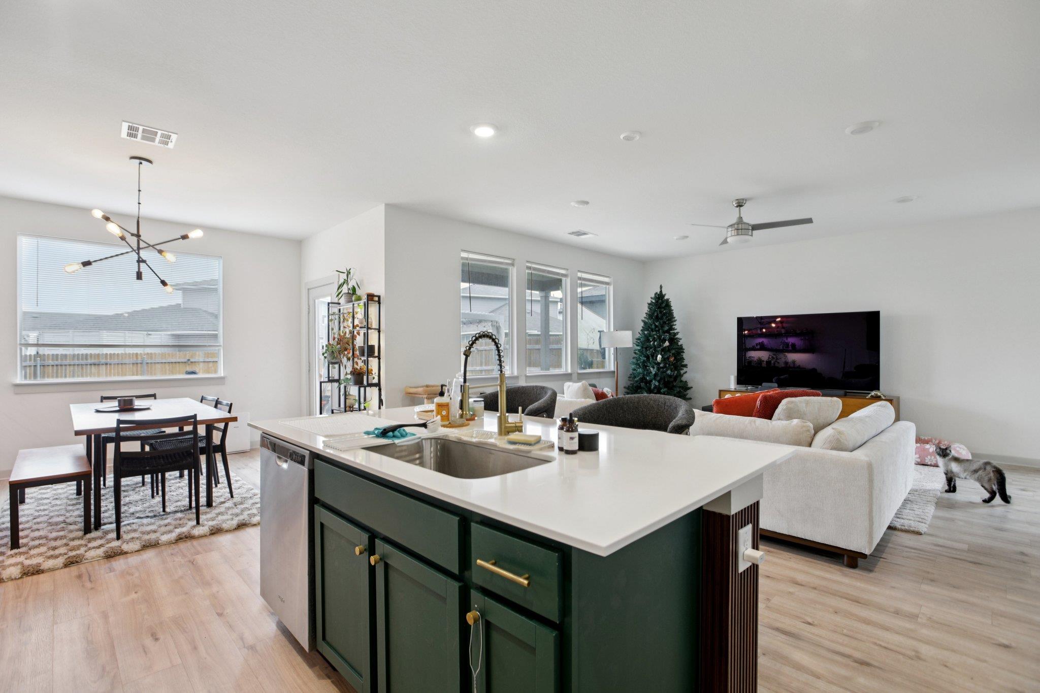 204 Cupreata Ln, Leander, TX 78641