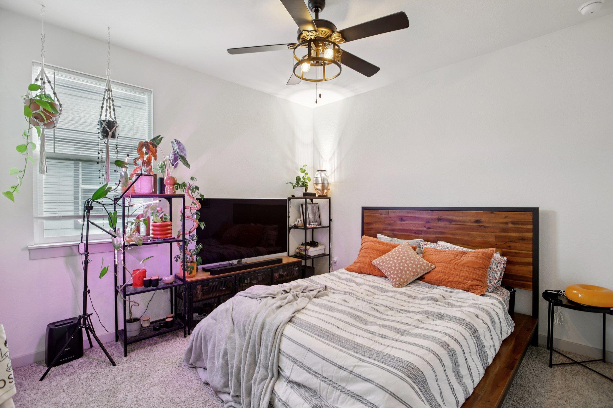 204 Cupreata Ln, Leander, TX 78641