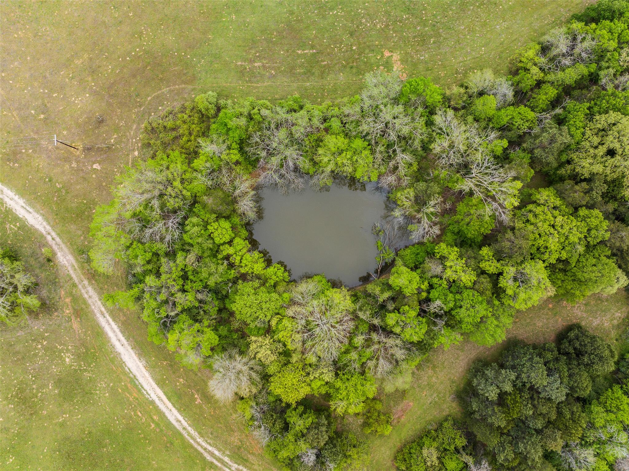 4822 Fm 1624 Rd, Lexington, TX 78947