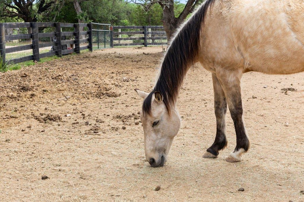 3830 Outback Trl, Spicewood, TX 78669