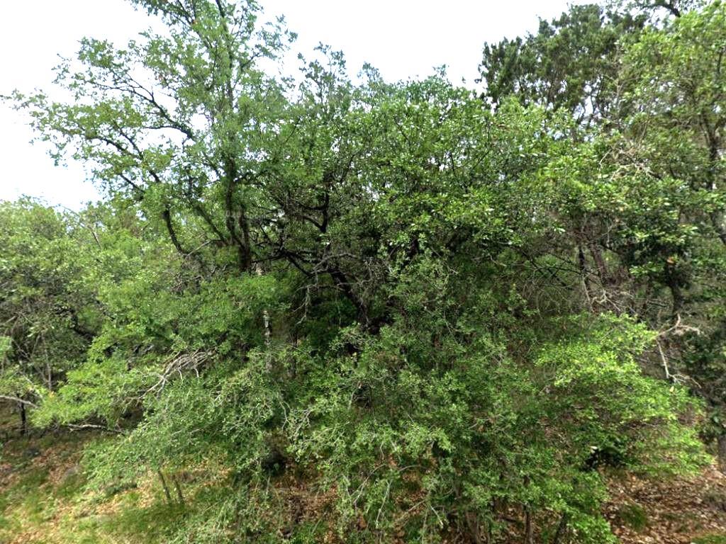 0 Skyline Dr, Sunrise Beach, TX 78643