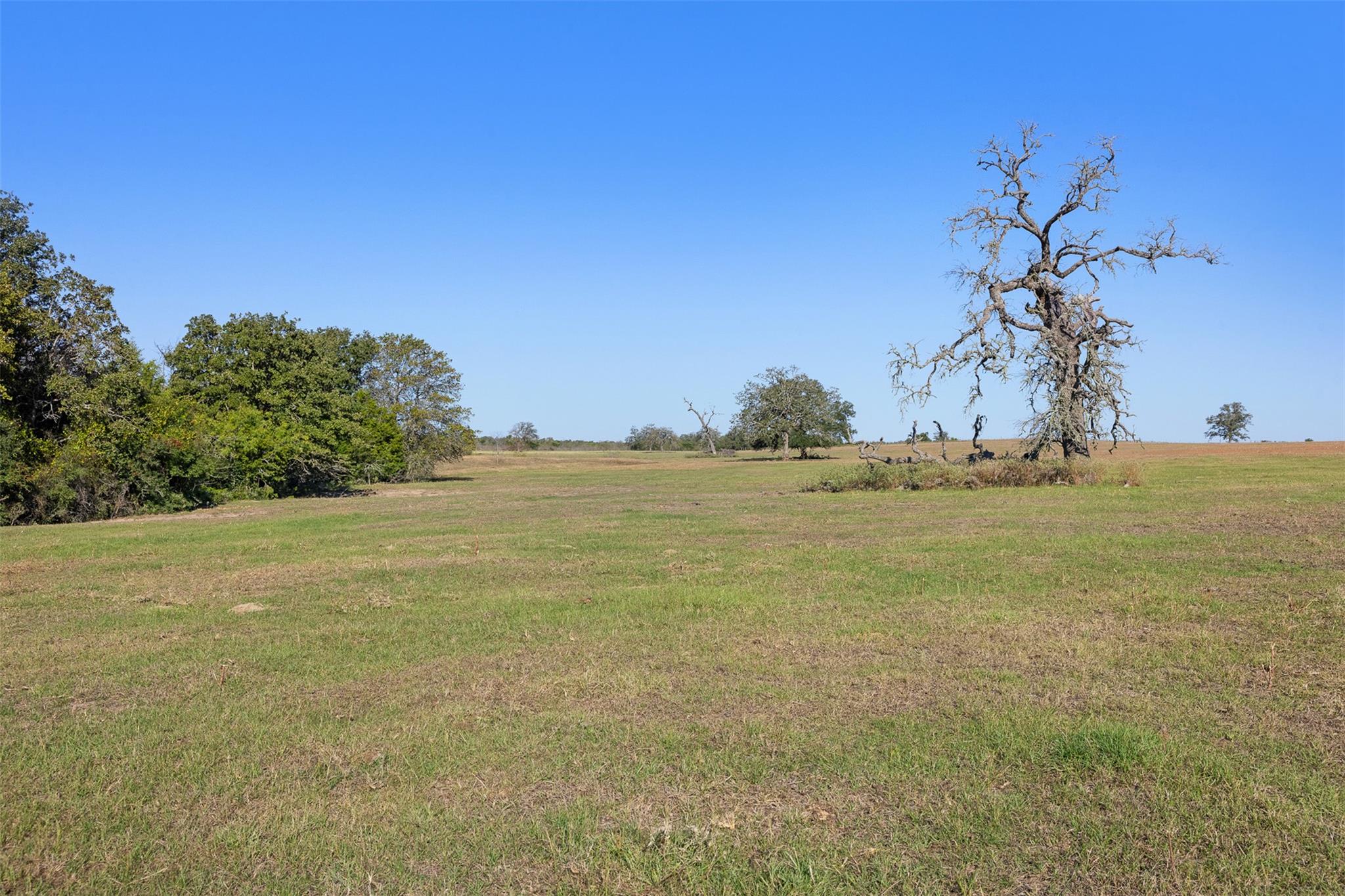 0 Stockade Ranch Rd, Paige, TX 78659
