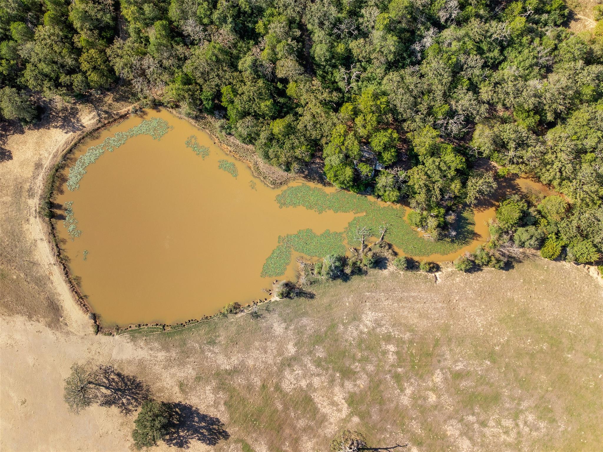 0 Stockade Ranch Rd, Paige, TX 78659