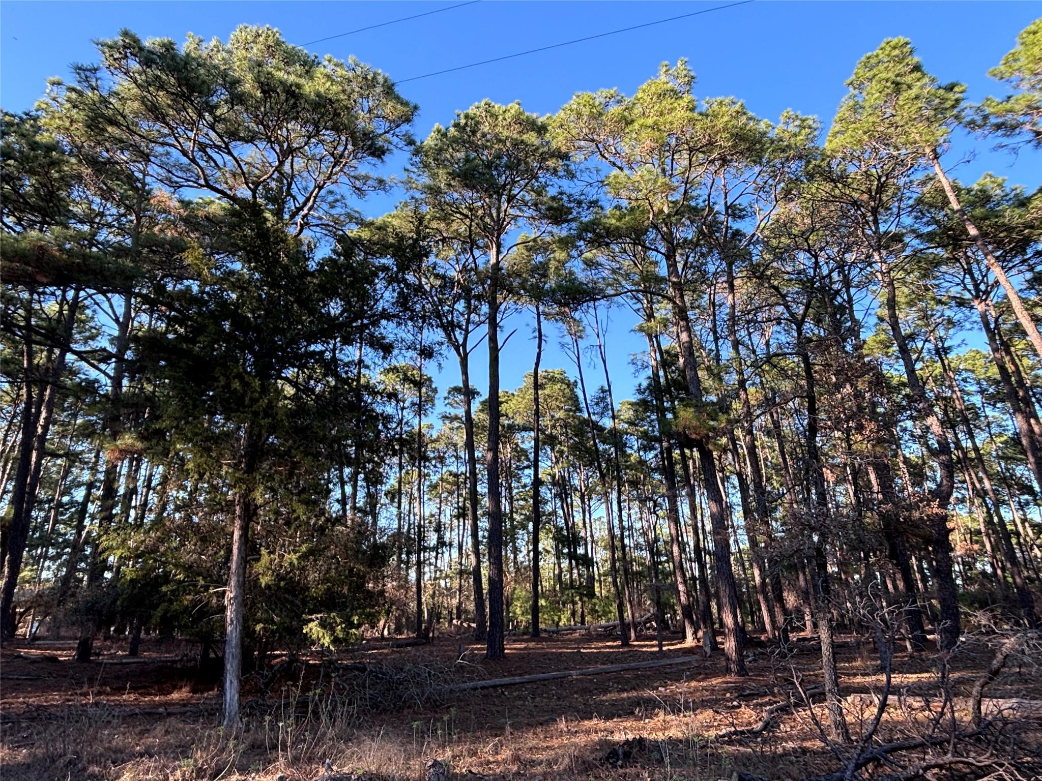 987 Stephen Ln, La Grange, TX 78945