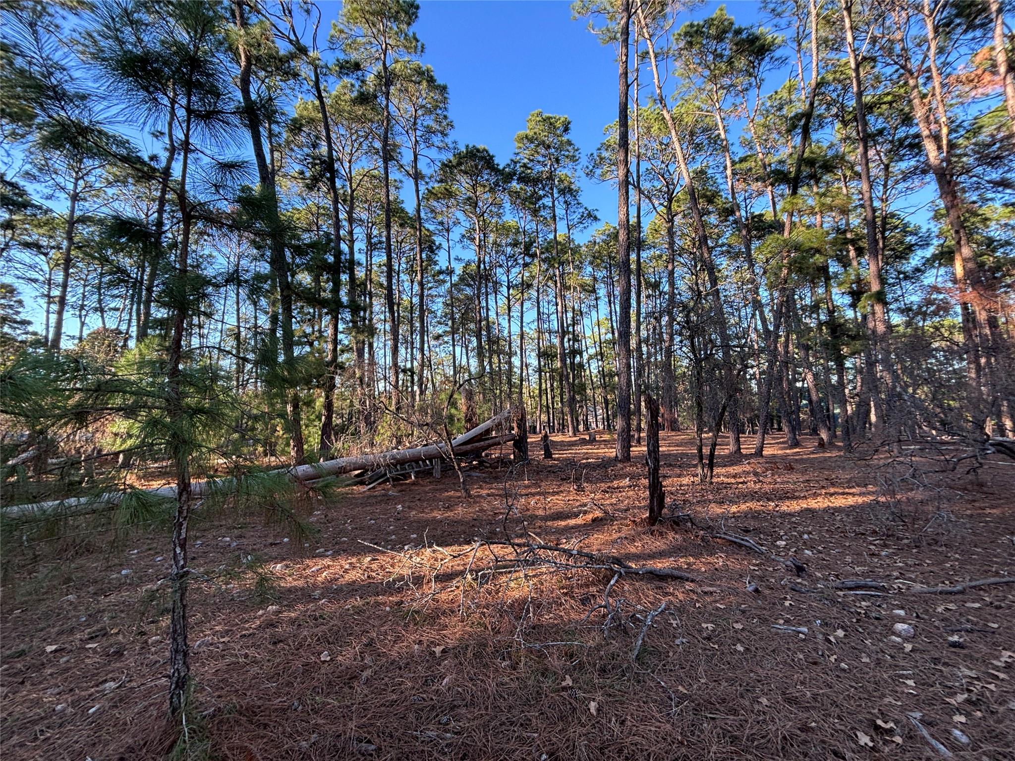 987 Stephen Ln, La Grange, TX 78945