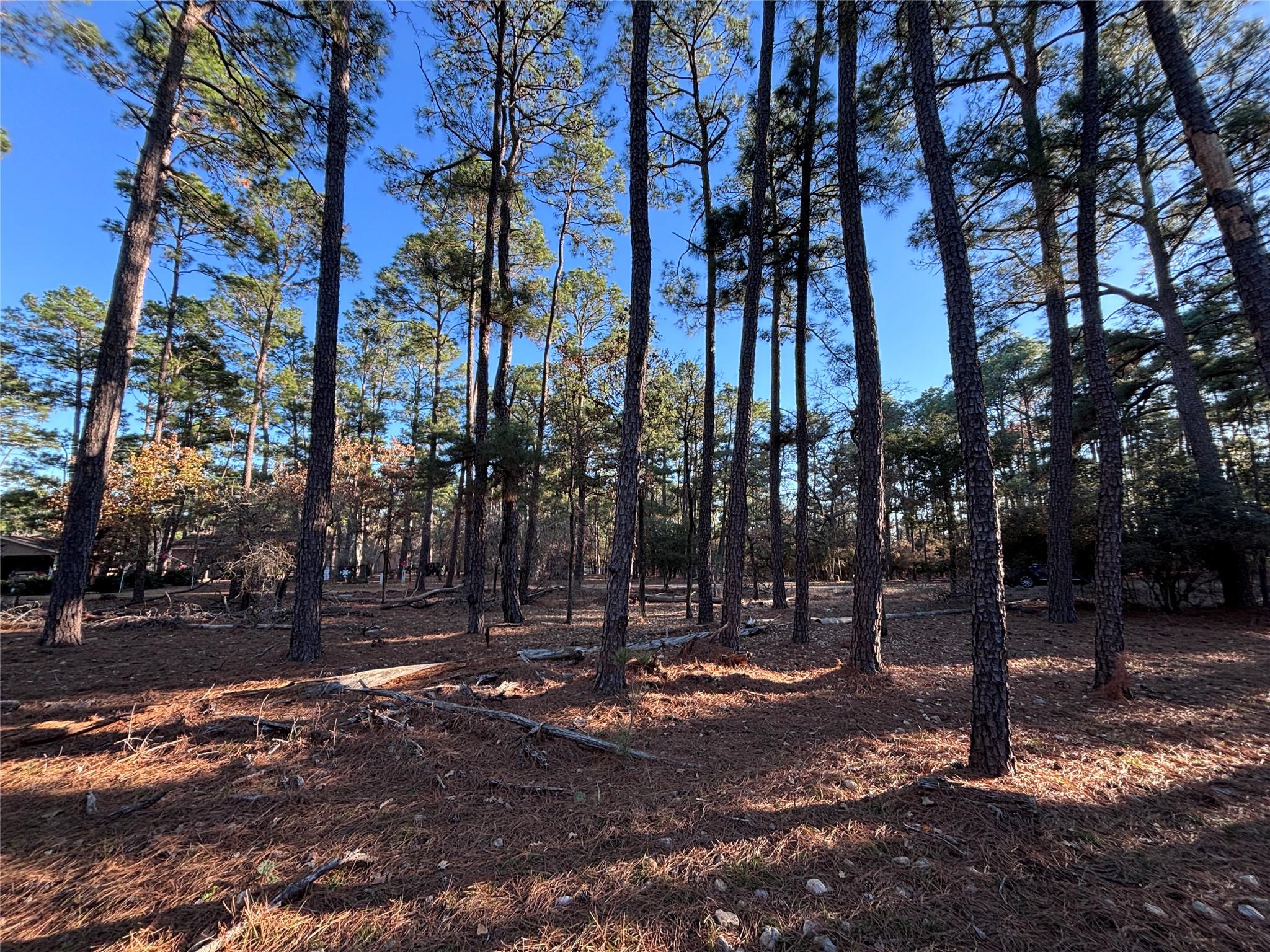 987 Stephen Ln, La Grange, TX 78945