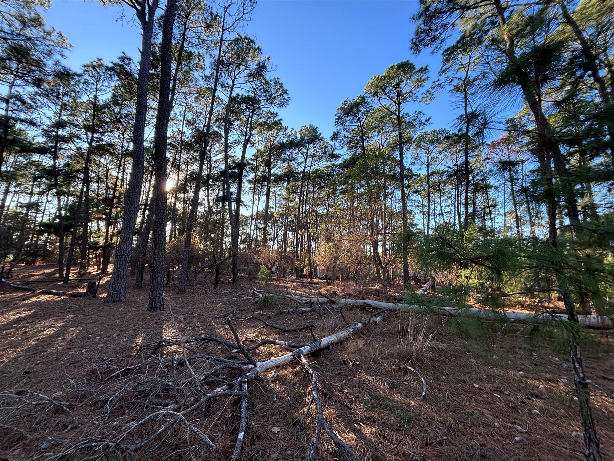 987 Stephen Ln, La Grange, TX 78945