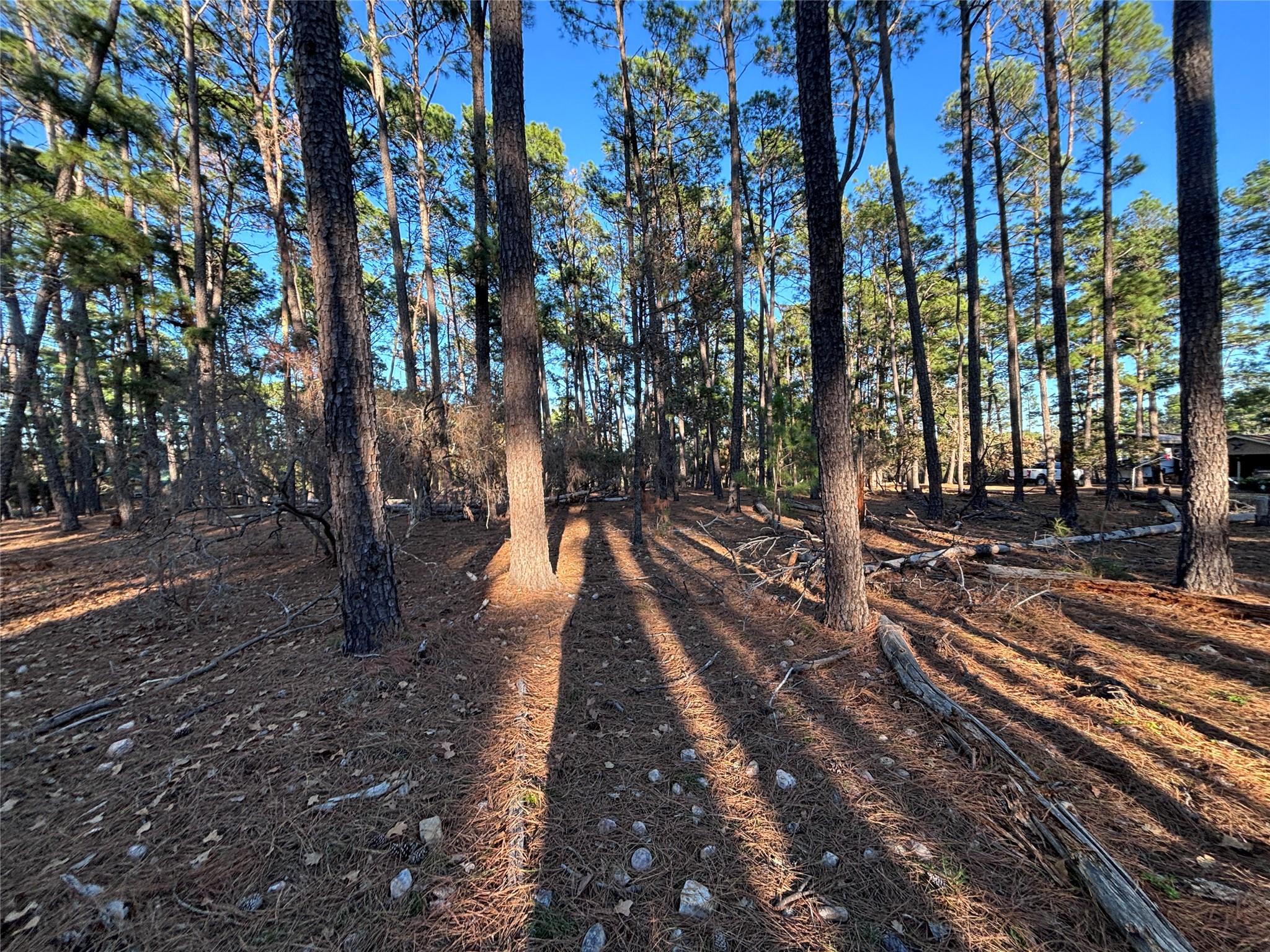 987 Stephen Ln, La Grange, TX 78945